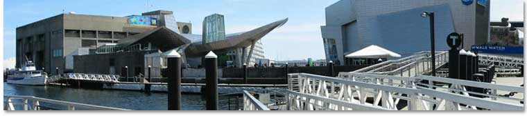 New England Aquarium, Waterfront